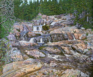 LC3-01 Puzzle "Rattling Brook Falls"