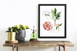 AI1-235 Art Print "Peony Flower"