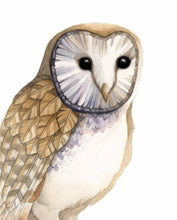 AI1-218 Art Print "Barn Owl"