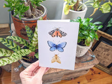 AI1-022 Greeting Note Cards "Butterfly & Moths"