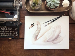 AI1-215 Art Print "Lace Neck Swan"