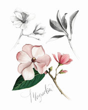 AI1-236 Art Print "Yellow Magnolia Flower"