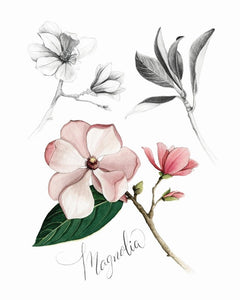 AI1-236 Art Print "Yellow Magnolia Flower"