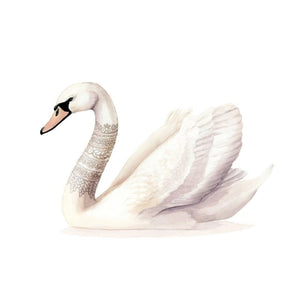 AI1-215 Art Print "Lace Neck Swan"