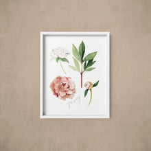 AI1-235 Art Print "Peony Flower"