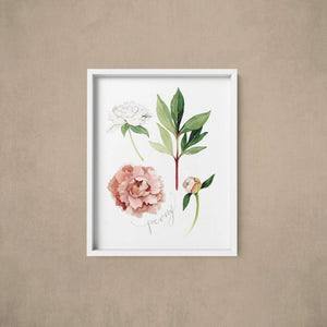 AI1-235 Art Print "Peony Flower"