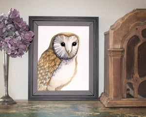 AI1-218 Art Print "Barn Owl"