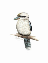 AI1-203 Art Print "Kookaburra Bird"