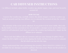 WV1-023 Car Diffusers