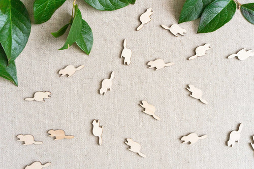FF2-078 Table Confetti ((Beaver)