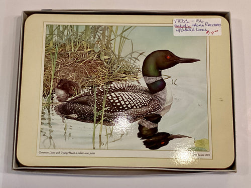 VTED1-156 Set of 6 Retro Hard Place mats