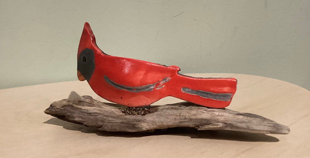 JMW-224 Cardinal on Wood