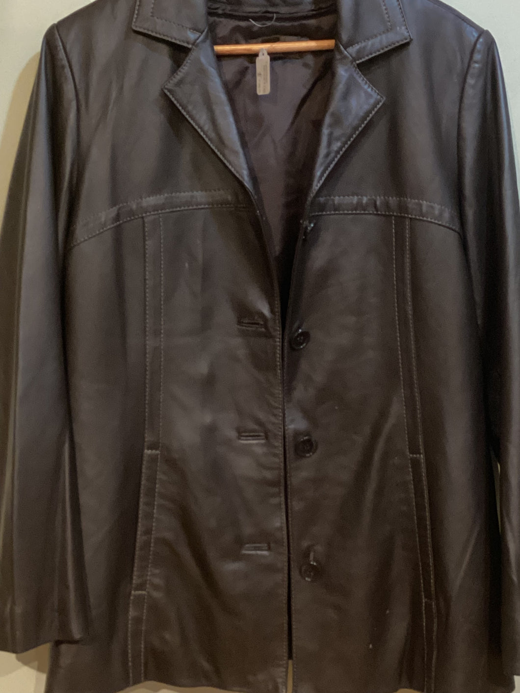 GW1-02 Danier Leather Jacket