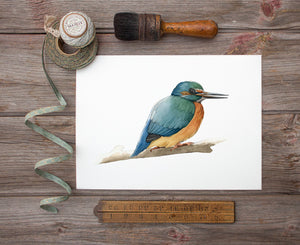 AI1-207 Art Print "Kingfisher"