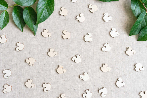 FF2-079 Table Confetti (Squirrel)