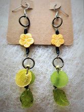 NM2-022  Earrings