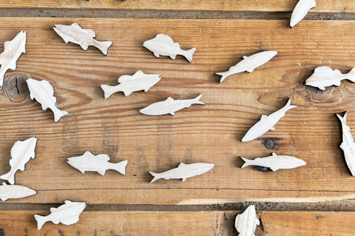 FF2-069 Table Confetti (Ontario Lake Fish)
