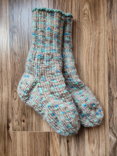 FC1-273 Slipper Socks (Large)