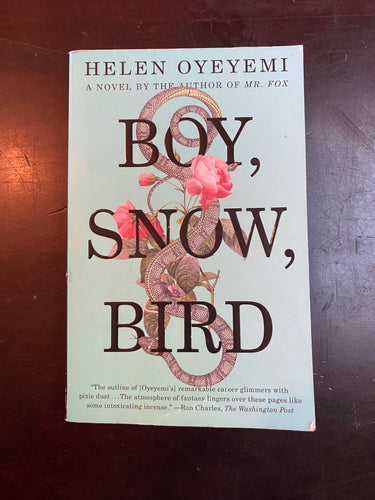 VTED1-183 Book - Boy, Snow, Bird