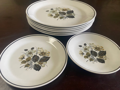 VTED1-366 Set of 6 Wildmore Vintage Large Plates