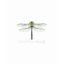 AI1-223 Art Print "Dragonfly"