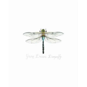 AI1-223 Art Print "Dragonfly"