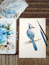 AI1-202 Art Print "Watercolour Blue Jay"