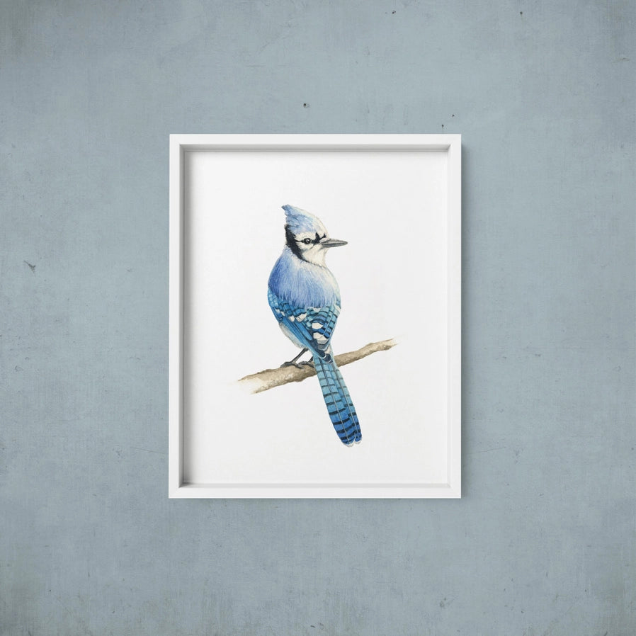 AI1-202 Art Print 