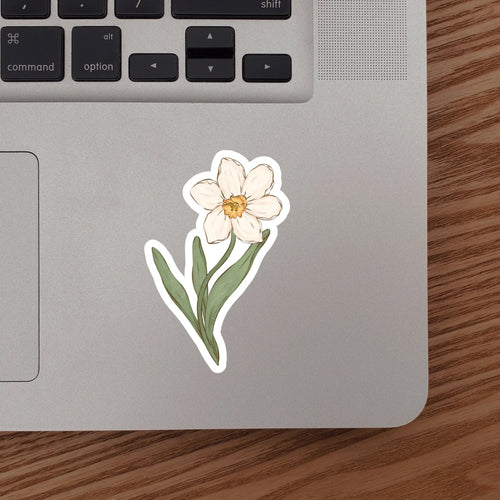 TPN-026 Narcissus (December Birth Month Flower) Sticker