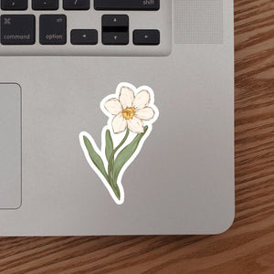 TPN-026 Narcissus (December Birth Month Flower) Sticker