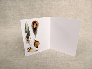 AI1-015 Greeting Note Cards "Raccoon with Feather Crown"