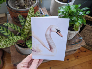 AI1-021 Greeting Note Cards "Swan with Patterned Neck"