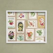 AI1-234 Art Print "Vintage Seed Packet"